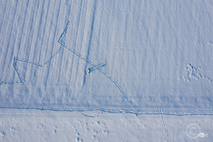 Grafische reduzierte Winterlandschaft, Drohnen Fotografie nach heftigen Schneefällen, Lustenauer Ried Landschaft, Fotograf Reinhard Fasching, Bregenz